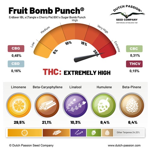 Fruit Bomb Punch terpenes